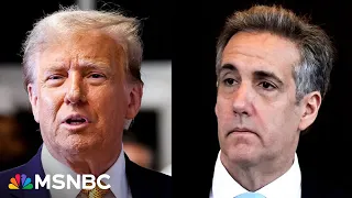 Michael Cohen is a 'volatile, unreliable person' but a 'stellar' witness: Tim O'Brien