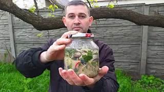 Маринованная Скумбрия за три часа.