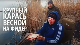 Ловля Крупного Карася в Городе! Фидерная Рыбалка с Александром Задорожным 2020!