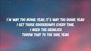 Travis Scott - Goosebumps (lyrics)