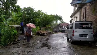 heavy rain all day Walking in the rain / Heavy rain beautiful Indonesian countryside