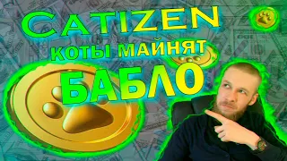 CATIZEN AIRDROP 35% 🔥 КОТЫ МАЙНЯТ БАБЛО 🔥NOTCOIN ЛИСТИНГ НА ХАЛВИНГ БИТКОИНА