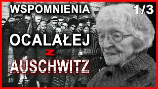 Horror życia w obozie Auschwitz-Birkenau 🎦 Poznaj historię naocznego świadka 1/3