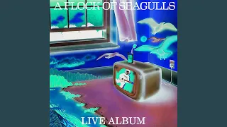 A Flock of Seagulls (1982 Live Album)