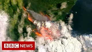 Australian state declares bushfire emergency - BBC News