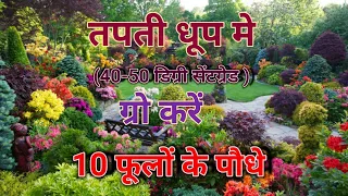 तपती गर्मी मे उगाएं 10 खूबसूरत फूलो के पौधे / 10 Best Summer flower plants