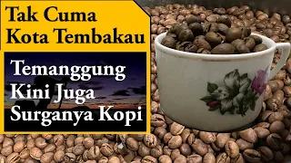 Temanggung Kota Tembakau Tapi Surganya Kopi