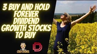 Dividend Investors: 3 Dividend Stocks to Buy and Hold Forever 2022 I Dividend Investing 2022