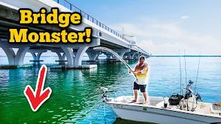 THIS Is Not The BRIDGE MONSTER I Was Expecting! **Brand New Species