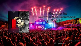 Mantra vs I Follow Rivers (Salvatore Ganacci Mashup Tomorrowland 2018 W2) [DJ Molins Edit]