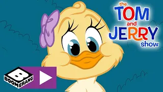 The Tom and Jerry Show | Little Quacker's Girlfriend | Boomerang UK