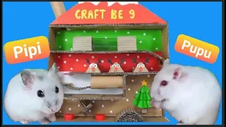 Hamsters Escape From maze Cardboard - Two Hamsters Running In CHRISTMAS Maze Making From Cardboard