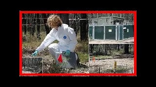 Inside the secret australian body farm replicating murder scenes | FishNews