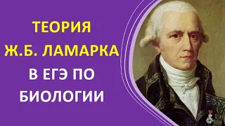 2. Теория Ж.Б. Ламарка в ЕГЭ по биологии