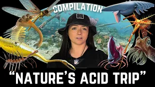 The Paleozoic Era (That We Know Of) Compilation I Lindsay Nikole