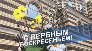 С ВЕРБНЫМ ВОСКРЕСЕНЬЕМ! Вход Господень в Иерусалим| Тропарь, кондак, Величание