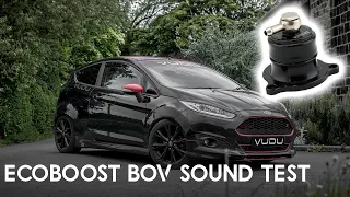 Fiesta EcoBoost Turbosmart Blow-Off Valve Sound Test **Turbo Whistle**