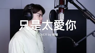 張敬軒 -【只是太愛你】Cover  (楊勝賢Rayden)