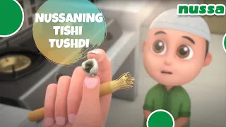 NUSSANING TISHI TUSHDI | NUSSA