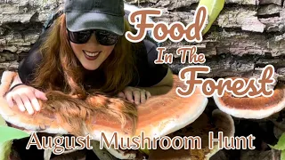 The Edible Mushroom You May Not Know About | August Mushroom Hunt | Resinous Polypore