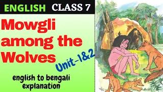 Mowgli Among the Wolves | Class 7 Blossoms Lesson 7| English to Bengali line by line explanation