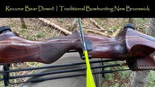 Recurve Bear Down!! | Traditional Bowhunting New Brunswick
