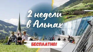 СТИПЕНДИЯ €4,000 для ВСЕХ | European Forum Alpbach