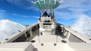 Solo Fishing Offshore at the Charleston 60