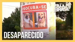 Tutora espalha cartazes para encontrar cachorro desaparecido na zona leste de SP