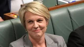 Tanya Plibersek hits the hustings in seat of Hasluck