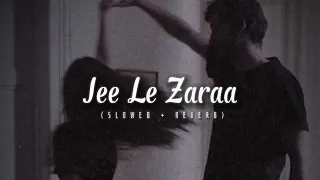 Jee Le Zaraa ( Slowed + Reverb ) Talaash  | Aamir Khan | Rani Mukherjee | Kareena Kapoor | New songs