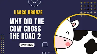 Why Did the Cow Cross the Road 2