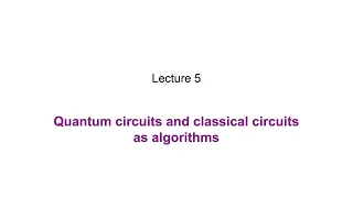5: Quantum circuits and classical circuits as algorithms