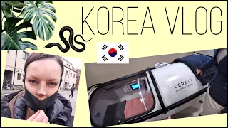 Один наш день в Южной Корее :) KOREA VLOG