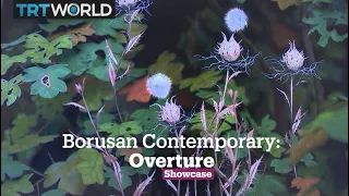 Overture: Selections From The Borusan Contemporary Art Collection | Contemporary Art | Showcase