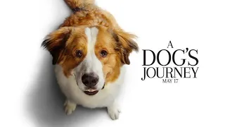 A Dog's Journey Movie Score Suite - Emily Bear & Mark Isham (2019)