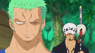 One Piece - Trafalgar Law use Op Op no Mi power on Roronoa Zoro