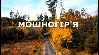 Політ над Мошногір'ям 05.11.2020 року, Ірдинські болота  #Подорожуй_Черкащиною  #djimavicAIR2