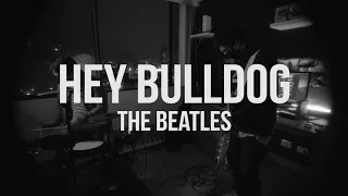 Hey Bulldog - The Beatles (Drums and Bass)