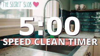 5x5 SPEED CLEAN TIMER | The Secret Slob