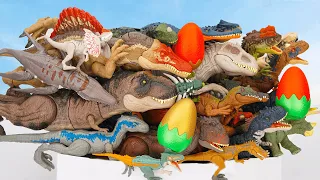 50 Dinosaur BOX With Dinosaur Egg, T-rex ,Indominus Rex, Spinosaurus, Velociraptor
