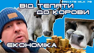 Економіка вирощування телиці. Від теляти до корови. Паровка телиць | Private Milk | Травецький