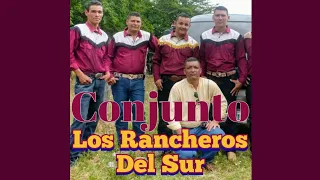 La Avispa - Conjunto Los Rancheros Del Sur (Cumbia)