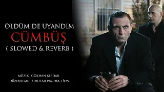 Kurtlar Vadisi Pusu | Öldüm De Uyandım Cümbüş ( Slowed & Reverb )