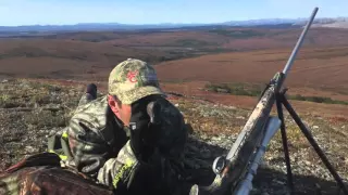 Arctic Grizzly Bear Hunt. Alaska 2015