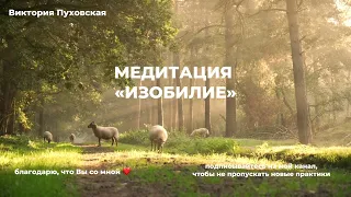 САМАЯ МОЩНАЯ МЕДИТАЦИЯ НА ИЗОБИЛИЕ. МЕДИТАЦИЯ БОГАТСТВА И ИЗОБИЛИЯ