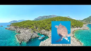 Porto Ceneviz Koyu Drone Çekimi | Adrasan | Akvaryum Koyu | Cennet Koyu | | Sazak Koyu #türkiye #ig