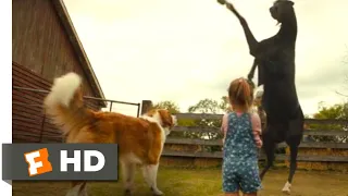 A Dog's Journey (2019) - Dog vs. Horse Scene (1/10) | Movieclips