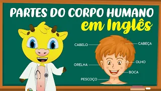 Partes do Corpo Humano  em Inglês | Partes da Cabeça em Inglês