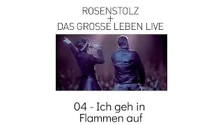 04 - Ich Geh In Flammen Auf - Rosenstolz + Das Grosse Leben LIVE 2006